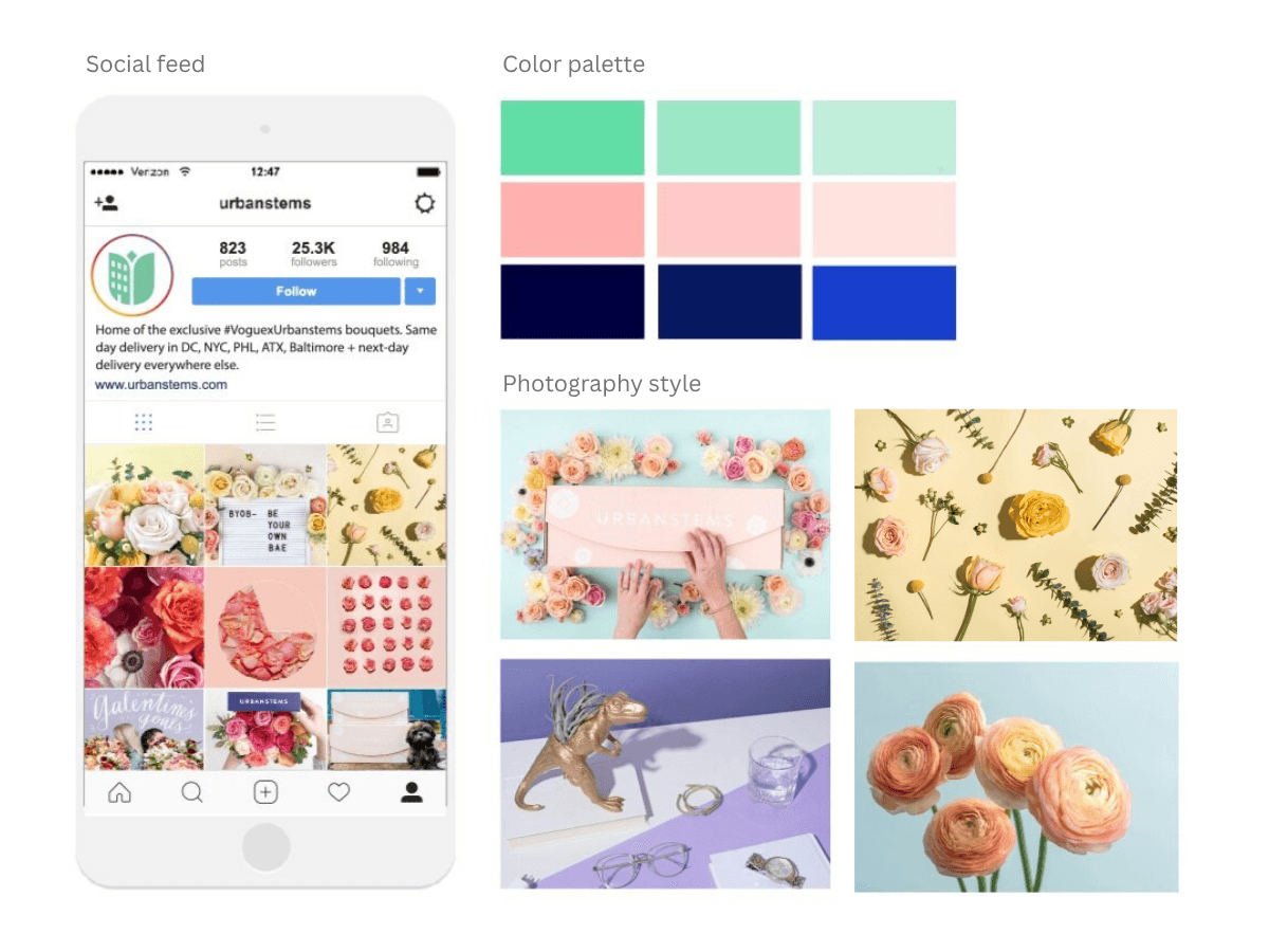After: social feed, color palette, and photography style — cohesive brand system
